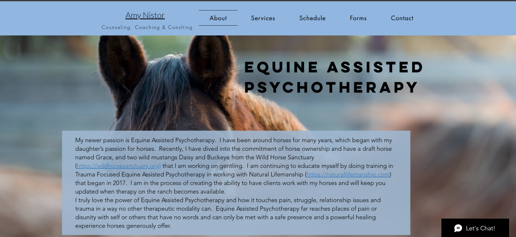 Amy's Equine
